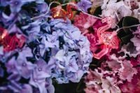 Kaboompics - Flamingo light garland & pink flowers