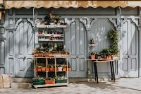 Kaboompics - Cacti Display Outside an Ornate Grey Shopfront