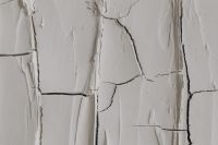Kaboompics - Macro of Deep Plate-Like Cracks in White Paint
