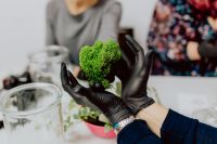 Kaboompics - Hands Preparing Green Moss for a DIY Rainforest Terrarium Workshop