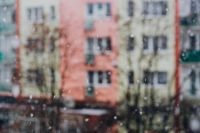 Kaboompics - Snowing