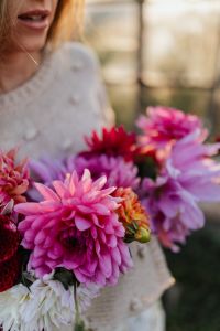 Kaboompics - Woman Holding Pink Dahlia Bouquet