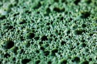 Kaboompics - Close-Up Mint Green Porous Surface with Shadowed Holes for Macro Texture Backgrounds