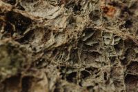 Kaboompics - Weathered Brown Rock Layers with Eroded Crevices and Rough Stone Texture