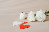 Kaboompics - White Ranunculus and Red Paper Hearts on a Beige Flat Lay