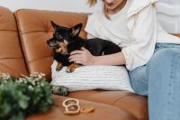 Kaboompics - Woman Holding Small Dog beside Christmas Tree