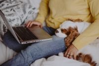 Kaboompics - A woman in a yellow sweater with a sweet dog uses a laptop