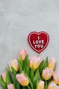Kaboompics - Love You Heart Sign Framed by Pink Tulips