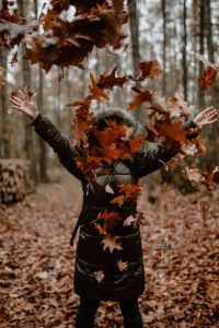 Kaboompics - A woman throws up the autumn brown leaves