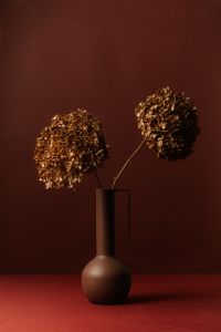 Kaboompics - Two Dried Hydrangea Blooms in Tall Vase, Moody Burgundy Floral Still Life