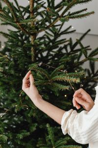 Kaboompics - Woman Reaching to Decorate Christmas Tree
