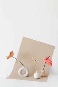 Minimalist Anthurium and Calla Lily Floral Backgrounds in Beige Tones