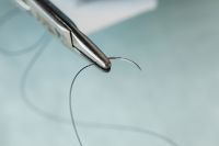 Kaboompics - Macro of Curved Suture Needle Held in Surgical Clamp