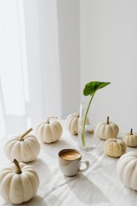 Kaboompics - Coffee Cup with White Mini Pumpkins and Green Houseplant