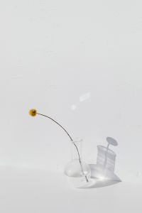 Kaboompics - Yellow Craspedia Flower in a Clear Glass Vase with Airy White Negative Space