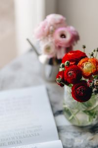 Kaboompics - Lovely Red and Pink Buttercup Flowers