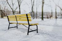 Kaboompics - Back View of a Yellow Park Bench in a Snowy Tree-Lined Park