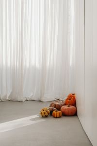 Kaboompics - Autumn Pumpkins in a Sunlit White Room