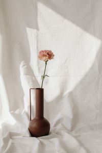 Kaboompics - Close-Up Floral Detail on Draped White Fabric