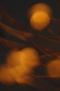 Kaboompics - Warm Orange Abstract Bokeh Motion Background