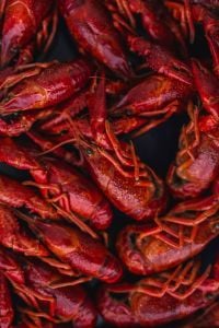 Crayfish on a blue plate