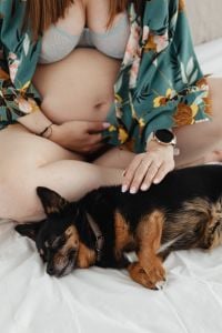 Kaboompics - Pregnant Woman with Small Dog on Her Lap