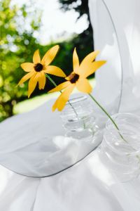 Kaboompics - Yellow Flowers in Glass Vases Beside a Mirror and Garden