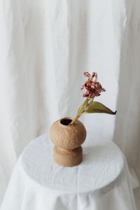 Kaboompics - Small Dried Flower In Sculptural Vase On Draped Table