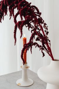 Kaboompics - Red Amaranthus and Candle on Marble