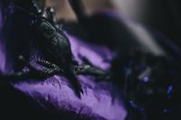 Kaboompics - Halloween witch hat in fiolet color
