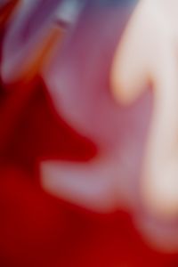Kaboompics - Red Abstract Blur With Dreamy Organic Shapes