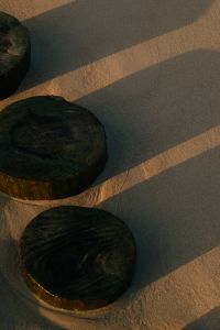 Kaboompics - Wooden Groyne Poles Shadow Sandy Beach Pattern
