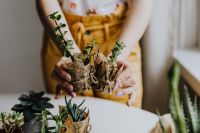 Kaboompics - Two Women Holding Newly Potted Succulents in Burlap-Wrapped Pots