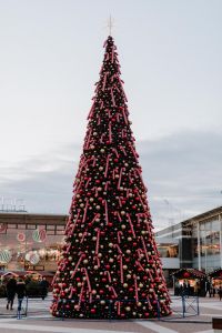 Kaboompics - Large Christmas Tree Outside Manufaktura Shopping Mall in Łódź