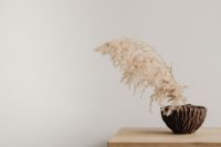 Kaboompics - Minimal Neutral Interior with Pampas Grass in Brown Vase on Wooden Side Table