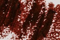 Kaboompics - Burgundy Lipstick Brush Texture