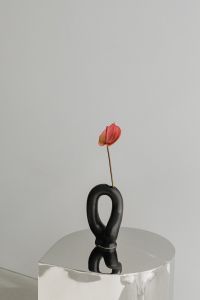 Kaboompics - Black Sculptural Vase with Anthurium on Reflective Chrome Table