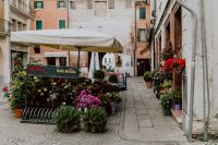 Kaboompics - Flower shop in Castelfranco Veneto, Italy