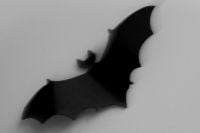 Kaboompics - Black Bat Silhouette Flying Across a Light Background