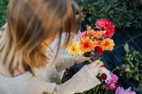 Kaboompics - Woman Arranging A Colorful Dahlia Bouquet