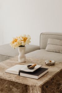 Kaboompics - Cream Flower Vase with Open Book on Marble Coffee Table
