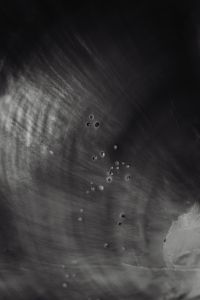 Kaboompics - Monochrome Seashell Nacre Texture Background with Concentric Lines