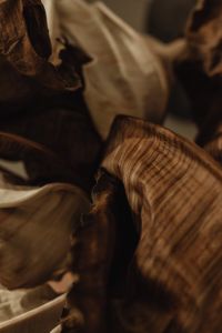 Close Up Detail Of A Dried Leaf - Banana Plant