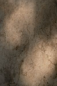 Kaboompics - Shadow On Textured Wall