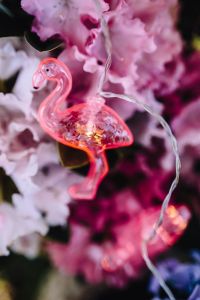 Kaboompics - Flamingo light garland & pink flowers