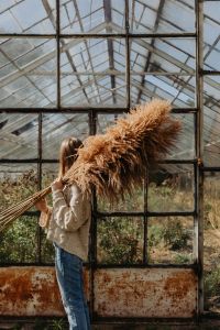 Kaboompics - Back View of Woman Carrying Pampas Grass through a Greenhouse