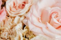 Kaboompics - Pale Pink Rose Petals and Cream Flowers, Delicate Botanical Texture for Beauty Layouts