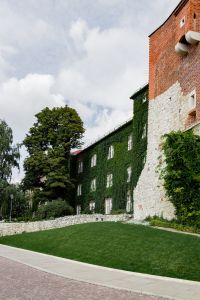 Kaboompics - White Stone Rampart and Ivy in Krakow Old Town