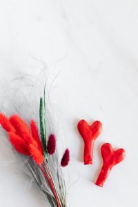 Kaboompics - Dried Grass & Balloons on White Background