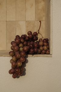 Kaboompics - Red Grapes in Stone Wall Niche